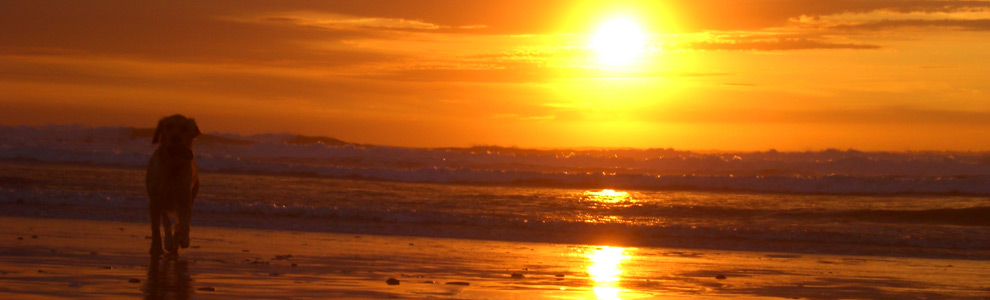 Bloubergstrand 3